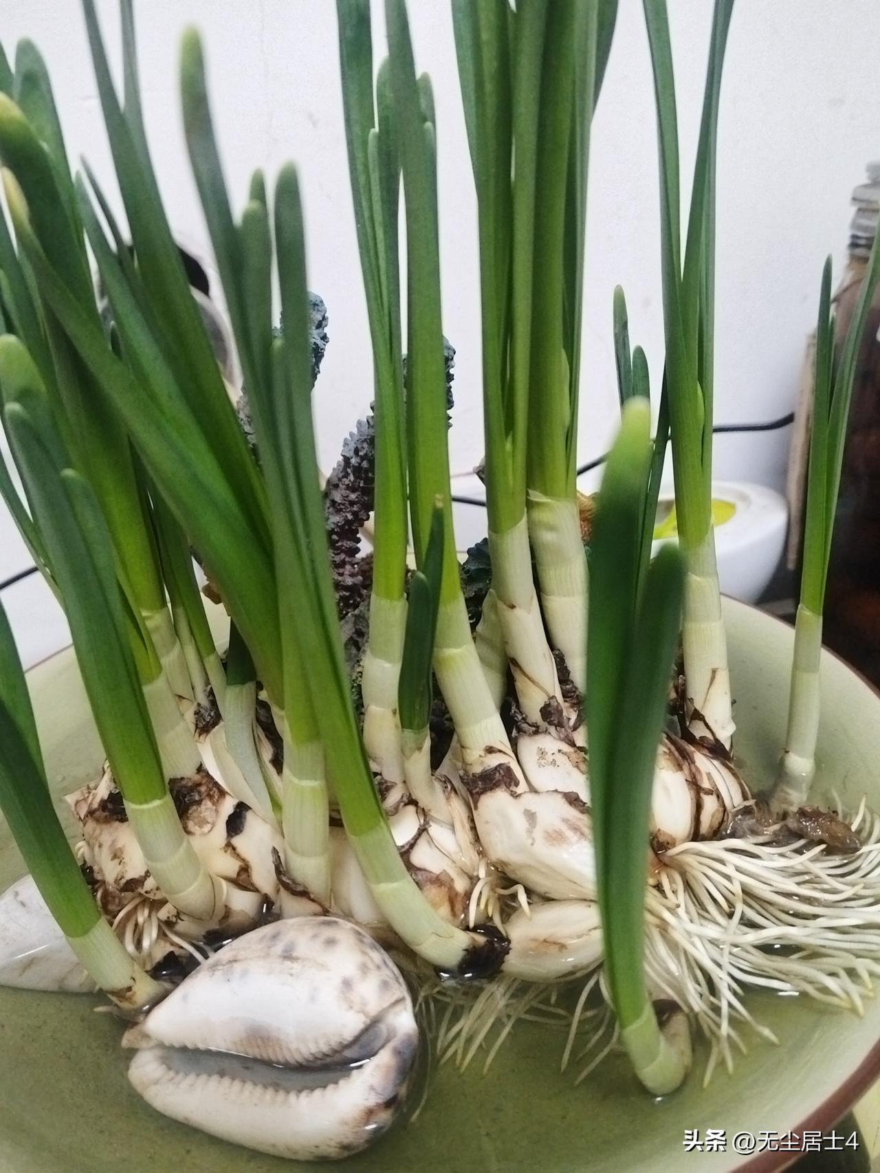 胃癌术后一个战友回复我的话，值得胃癌战友们学习借鉴及分享，原文如下：
     