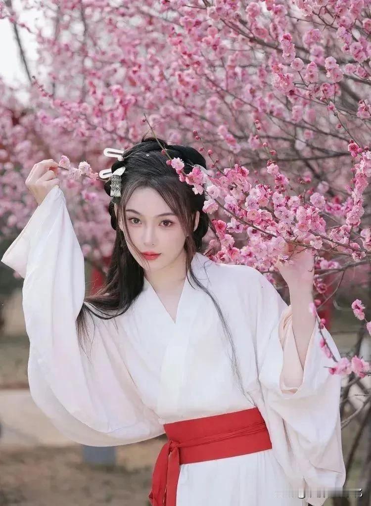 马上赏花季节到了