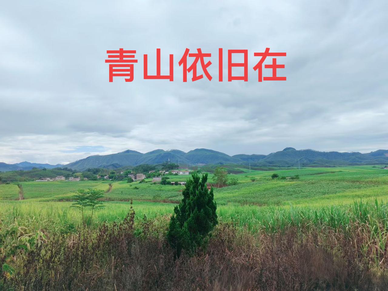 2015年：姚贝娜
2016年：乔任梁，何家驹、方静
2017年：杨洁、葛存壮