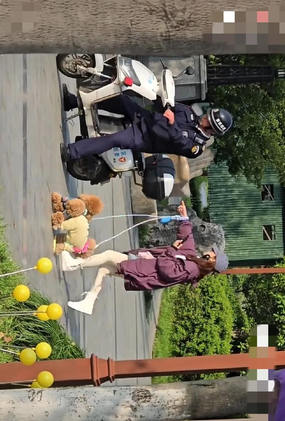 4月24日，浙江嘉兴一景区内，一外地女子带着几只狗狗来到景区，全程将所有狗狗撒开