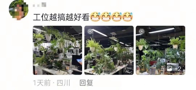 当代年轻人的倒贴上班😅 ​​​