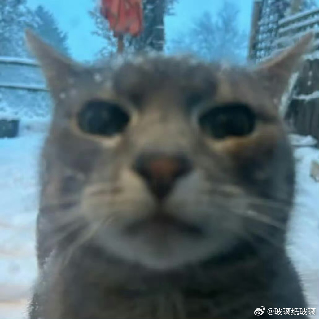 刚刚有人三进三出咔我，但我没看清他的ID
