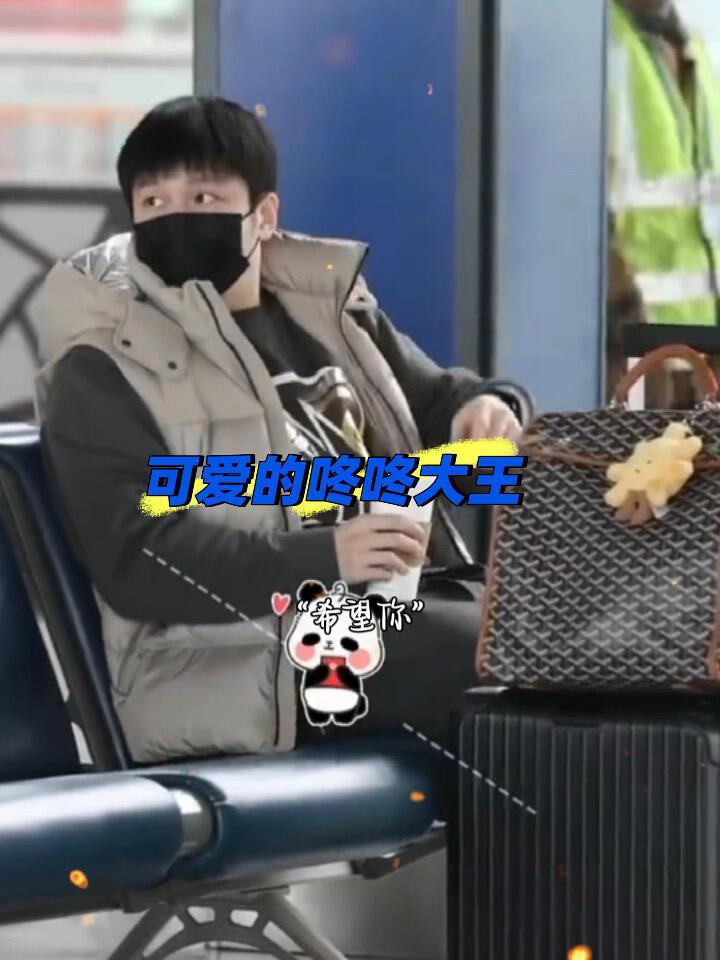 樊振东穿的好缓和，真的好像小熊！
好可可爱爱的小胖，看到樊振东这样的状态，心里暖