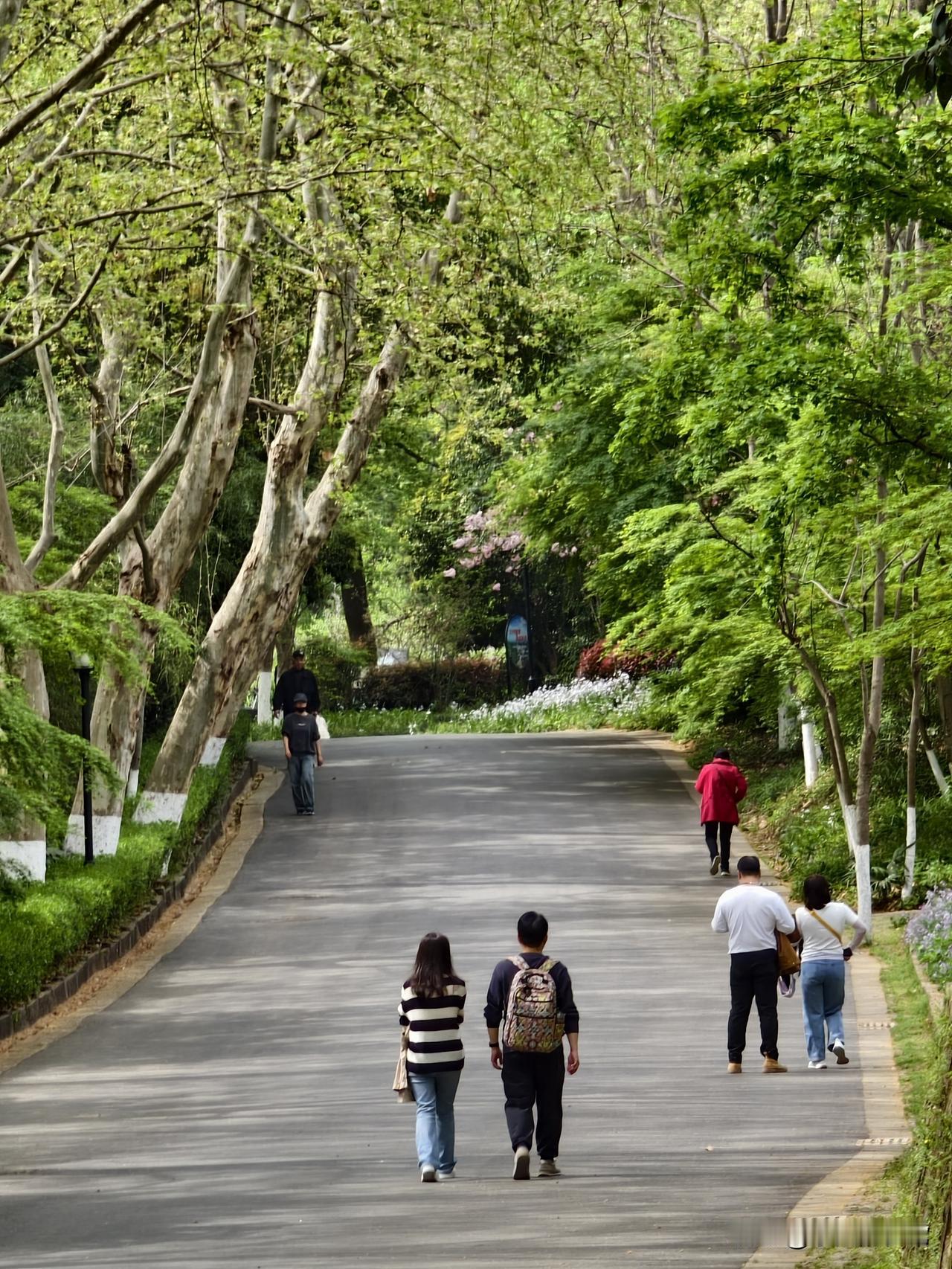 春天里的不仅有花朵，还有这满眼的绿，没有人不爱这充满希望的季节。晒图笔记大赛
