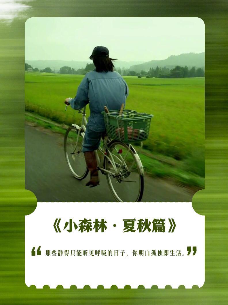 电影里的夏天真的非常治愈。 [求关注][拜托][点赞] ​​​
