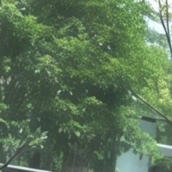 每日一善 阳光信用 每日一善 听风观雨，常怀悲悯之心，如雨露滋润大地，默默孕育着