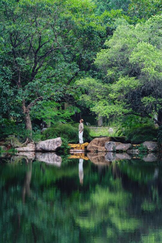 人生建议：一定要去华南植物园看次春日油画！