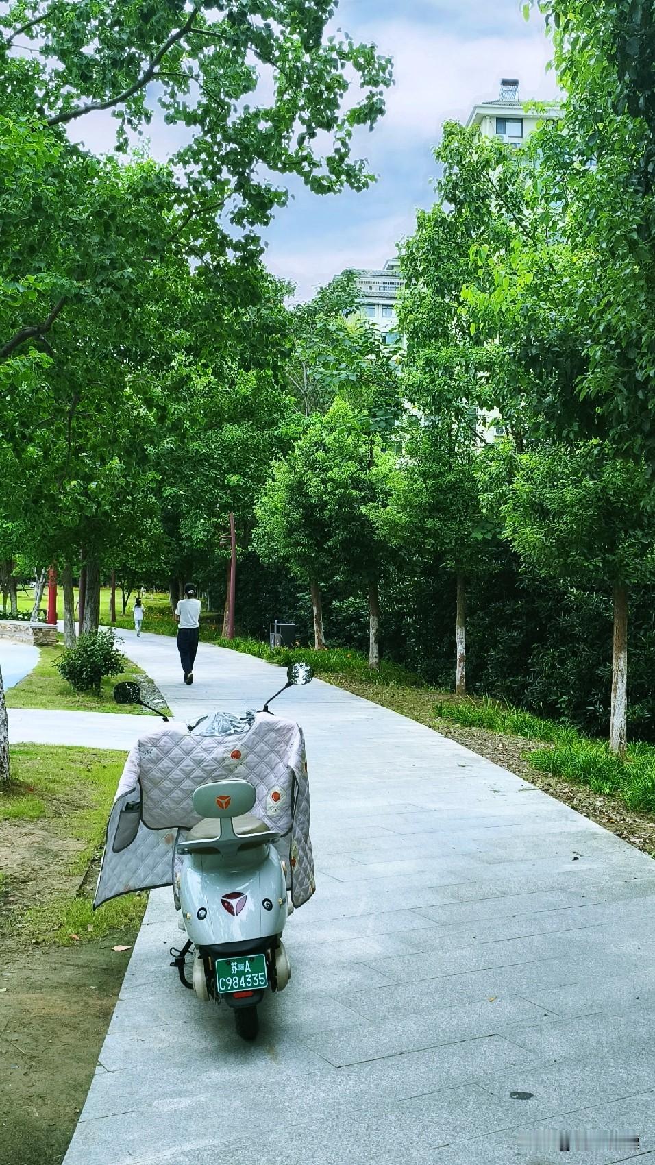 今天南京温度30度，又热了起来。但是秋天的早上还是很凉爽的，大晴天，大太阳就升起