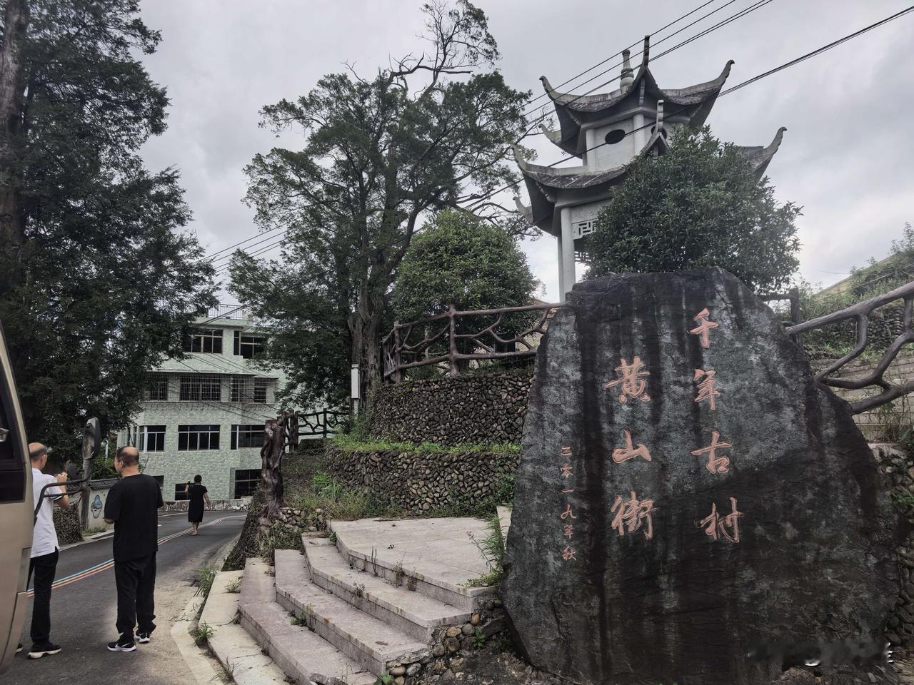 上周回皖南宁国的乡下拍的照片，翻出来看还是忍不住想晒。
村口那棵30多年的香樟树