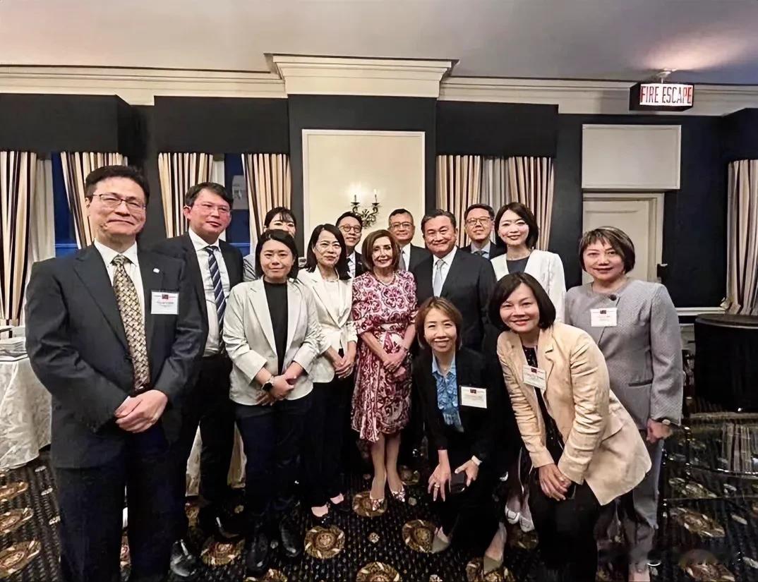 台湾当局组织的赴美跨党派观选团今日与美国前众议院议长佩洛西会面，佩洛西声称“对台