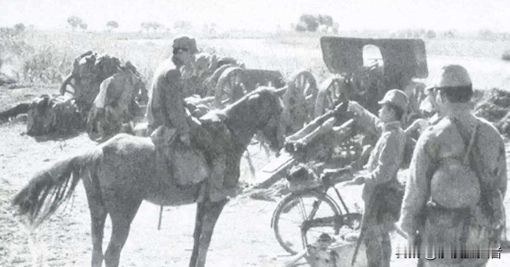 抗战胜利后，七万多匹日本军马成了烫手山芋！这些东洋马可不是普通牲口，当年小鬼子为