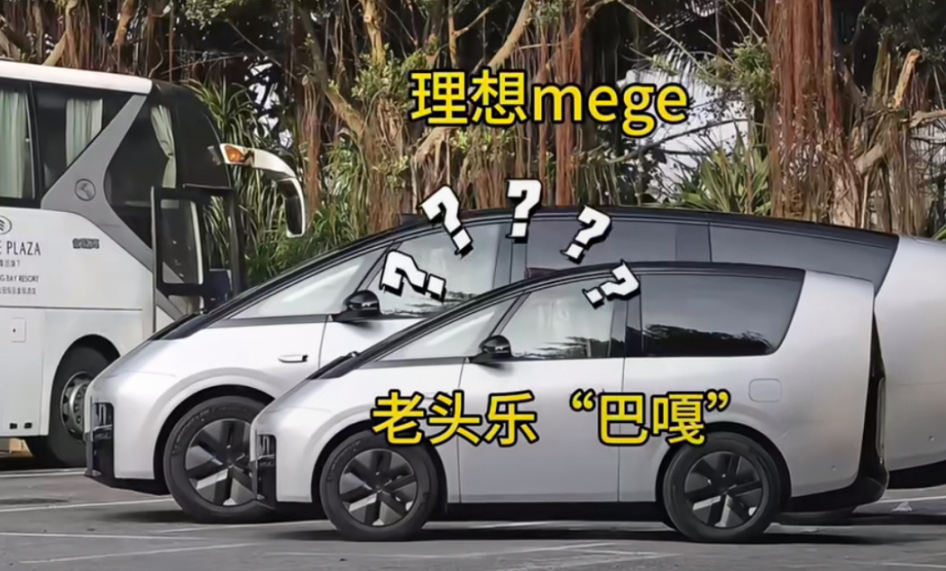 mega也有老头乐[费解][费解] 