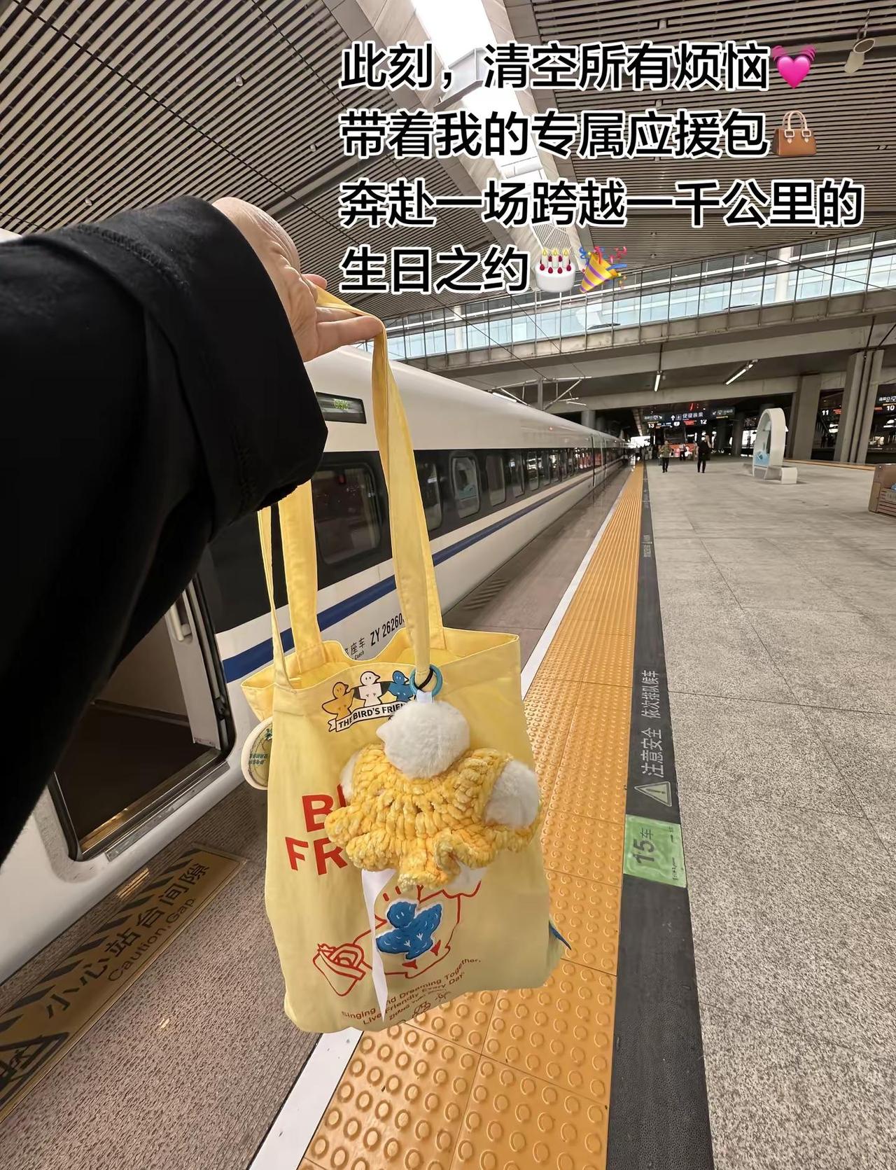一个普通的周五早晨，40+的刘女士背着她的专属应援包，只身前往上海，去看她终于逆