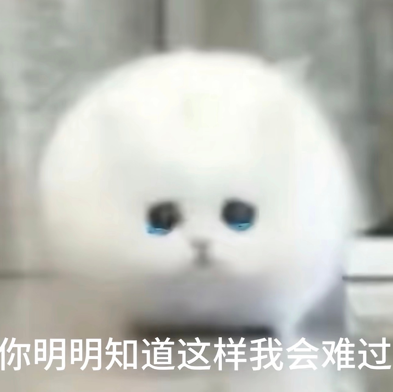 分享图片 ​​​