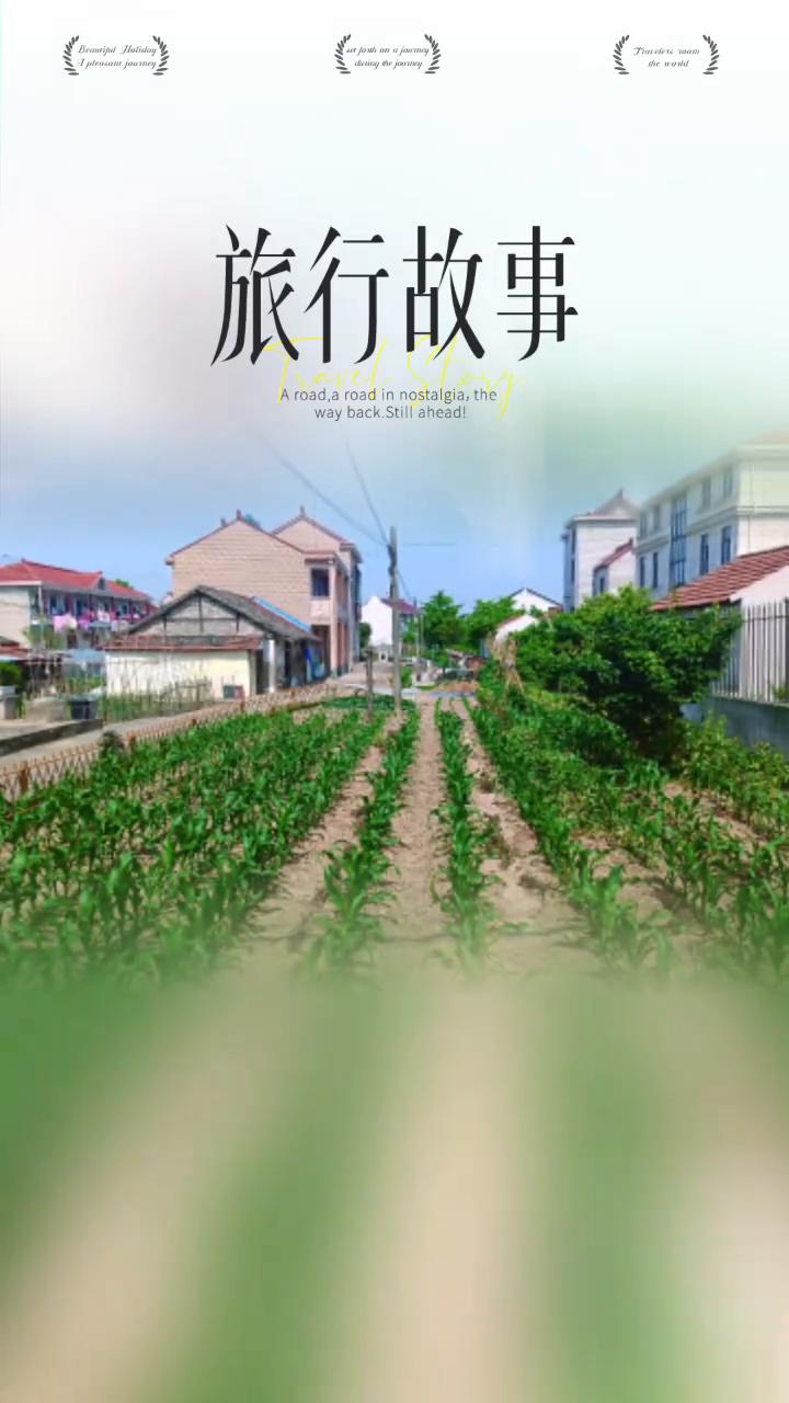 旅行故事。
way back Sill ahead。