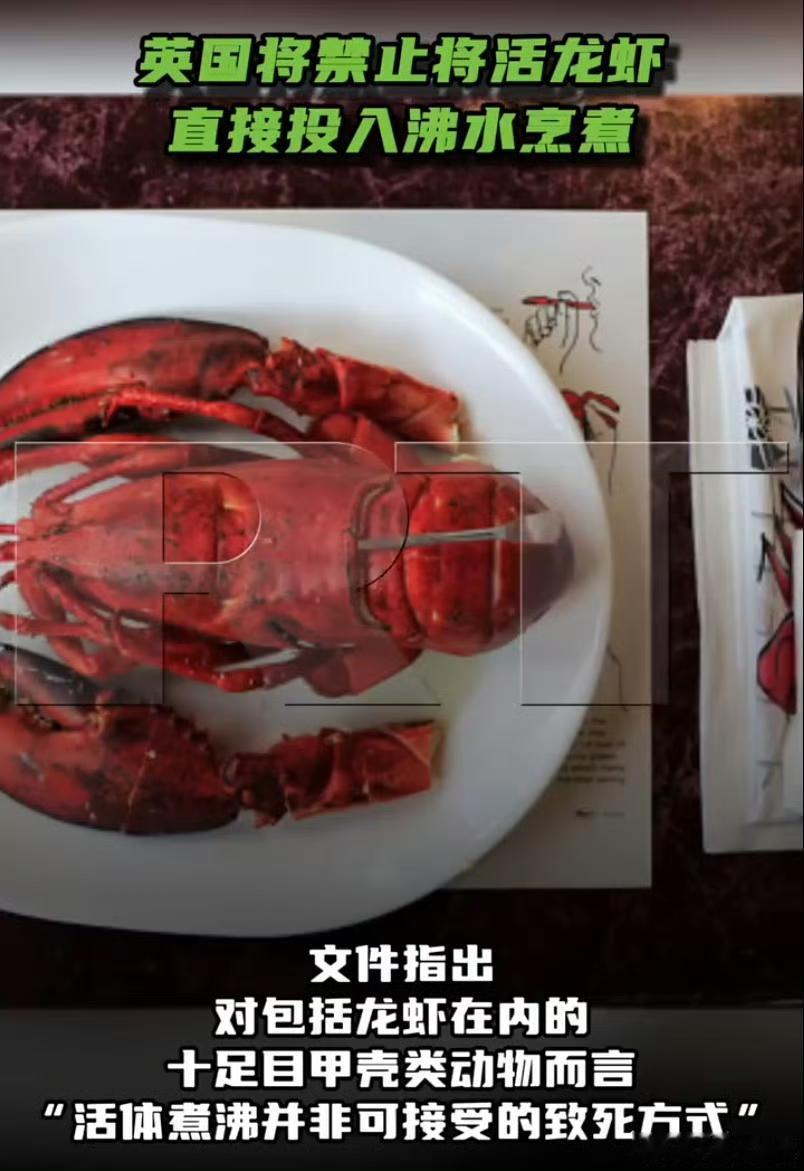 12月23号，英国发布了一份比较抽象的文件禁令。

那就是以后如果有人敢把龙虾放