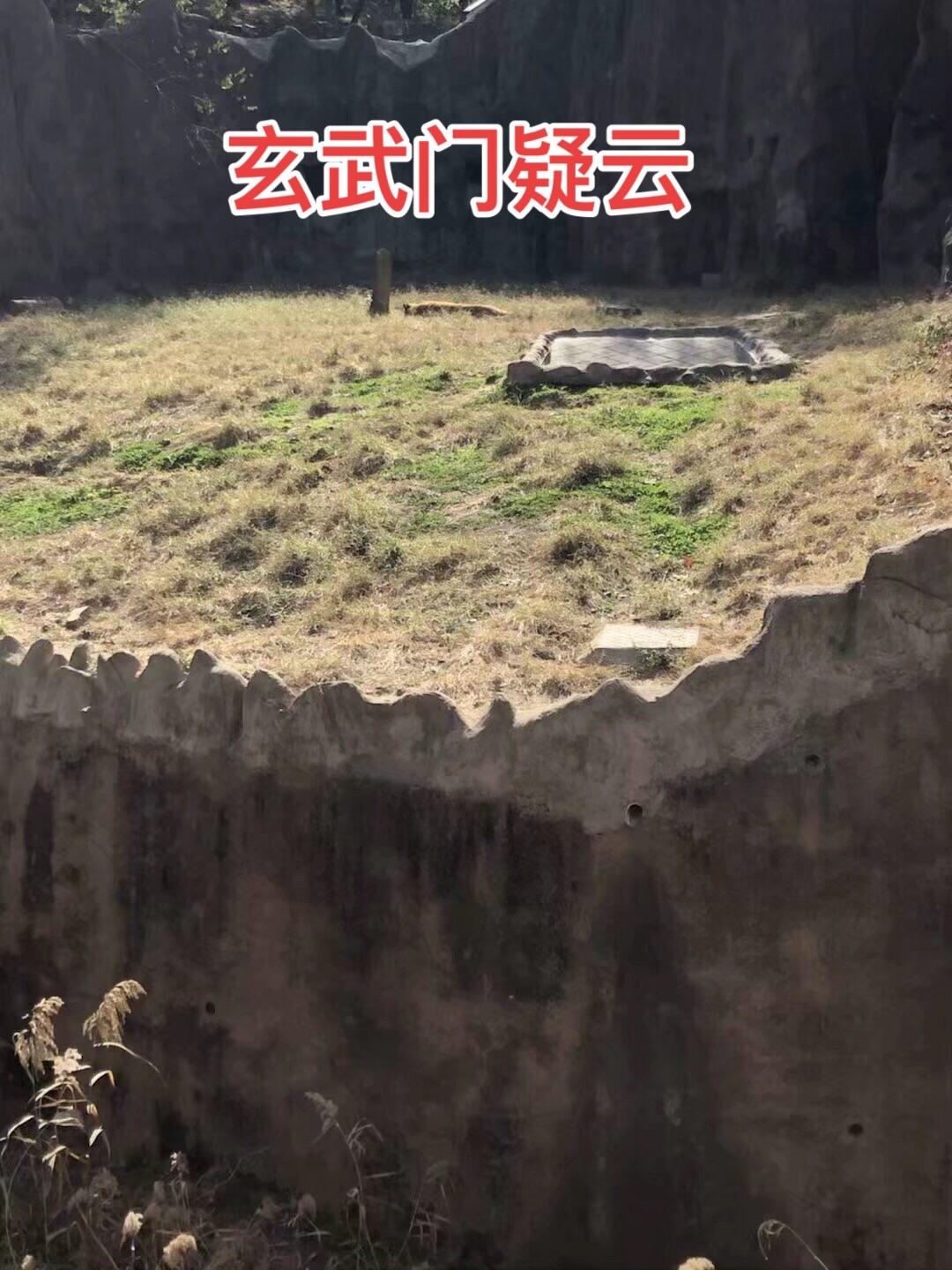 玄武门之变 受很多电视剧影响，再加上唐太宗李世民当了皇帝后，篡改了很多...