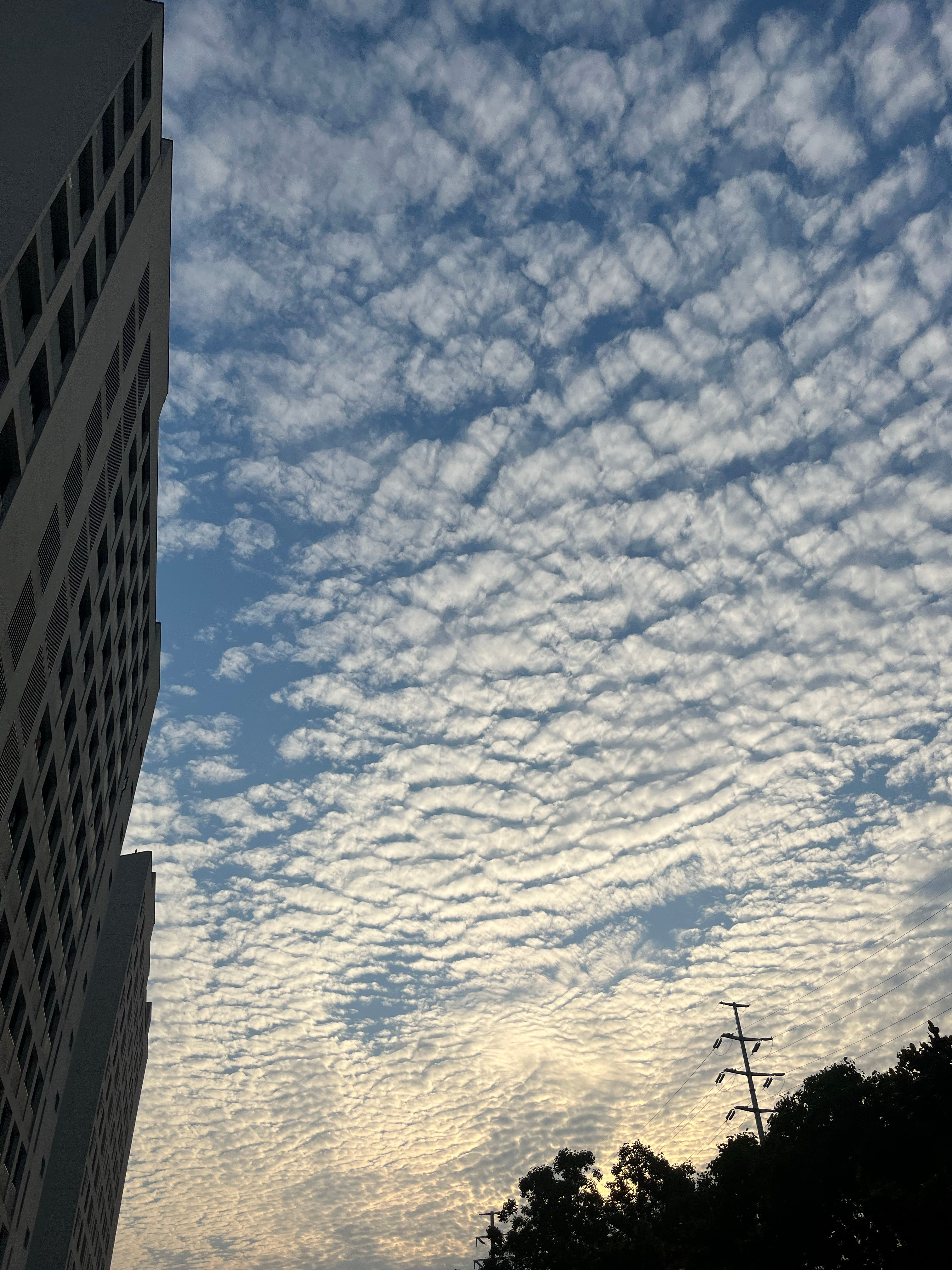 假期好 期末周坏[怒]谁敢看p4-6的实况哈哈哈哈 ​​​