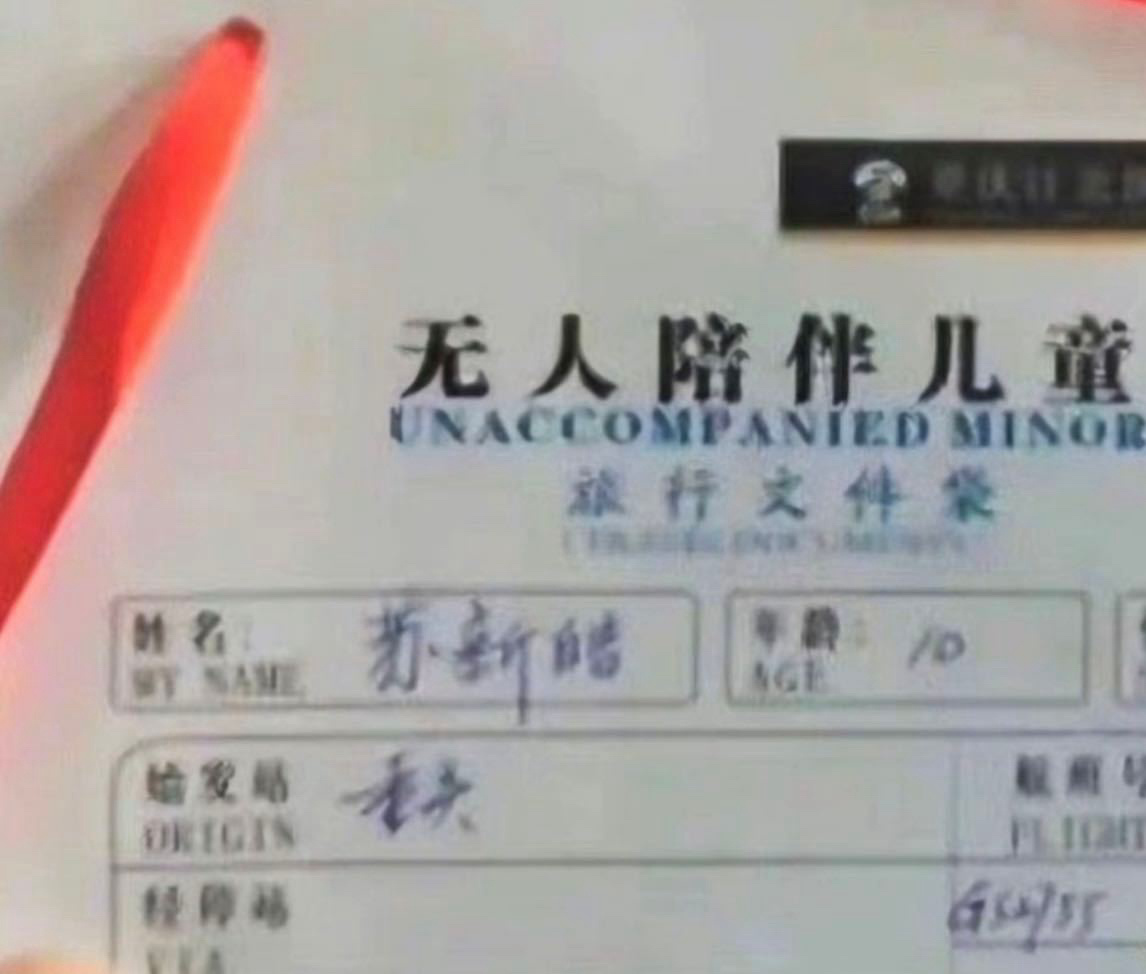 无人陪伴儿童🥺还被夸乖巧独立的小铲铲 
