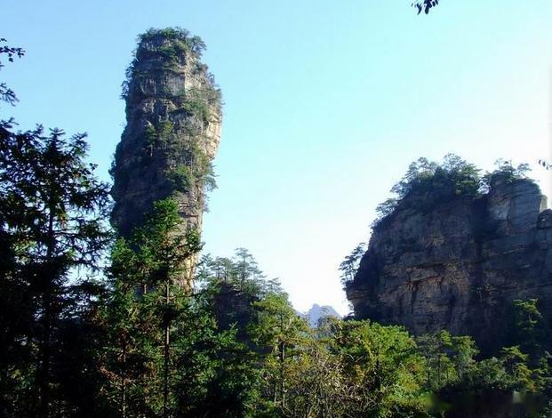 【卓玛峡谷】这里虽然海拔约4700米，却林木苍绿、花香袭人，湖光山色，生机盎然。