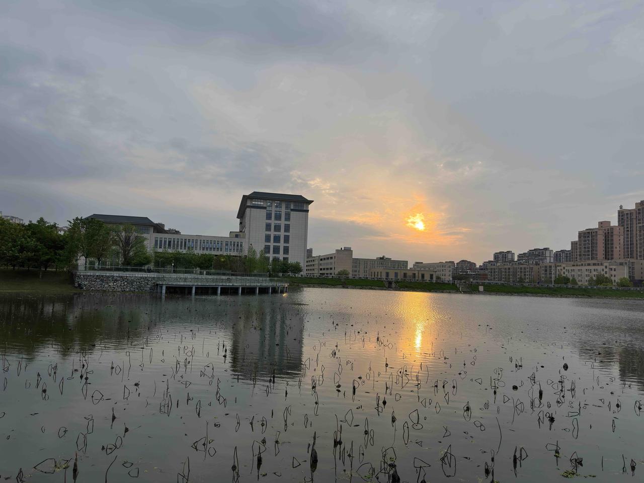 一位读初中时的女同学去年56岁时去一家服装店当服务员卖衣服，​当时还签订了合同期