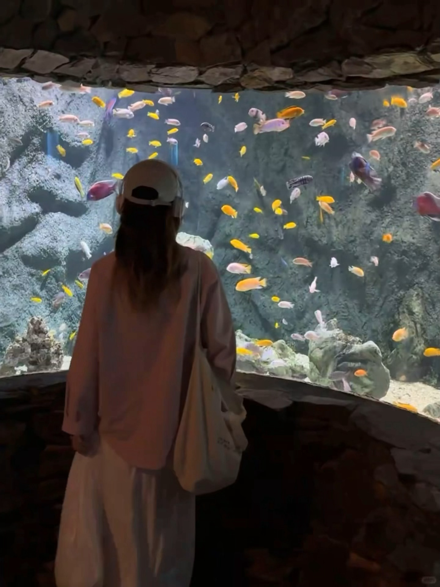 水族馆就是live图的意义……真的动起来每一帧都很美！ 