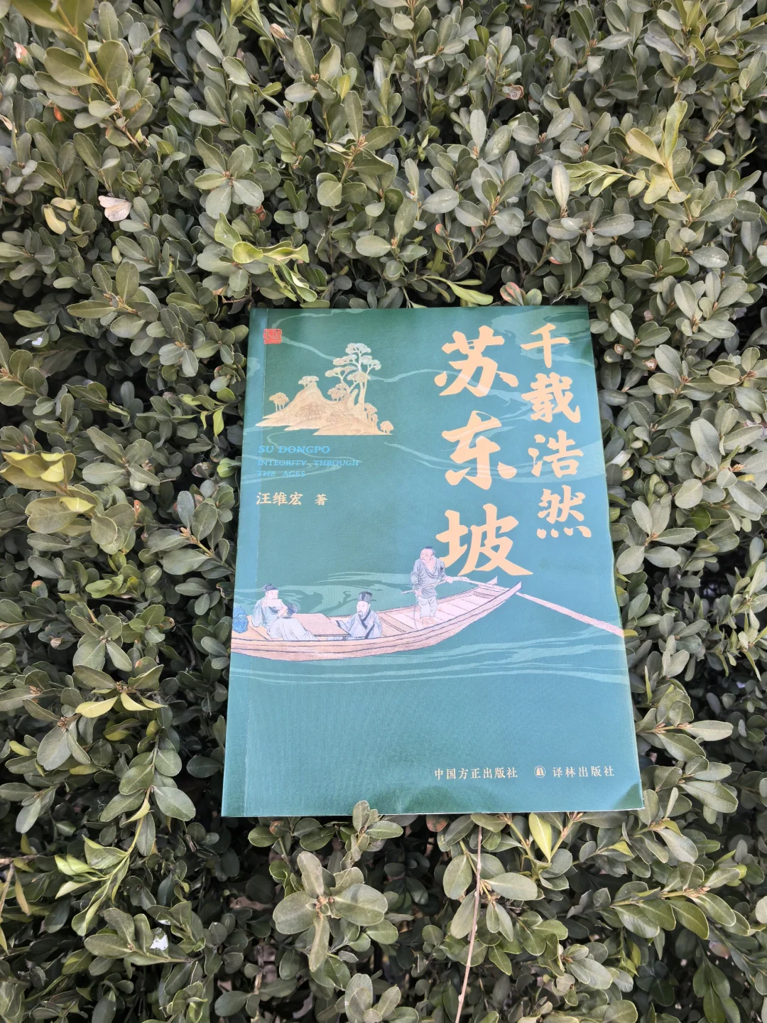 《千载浩然苏东坡》：你不知道的苏东坡