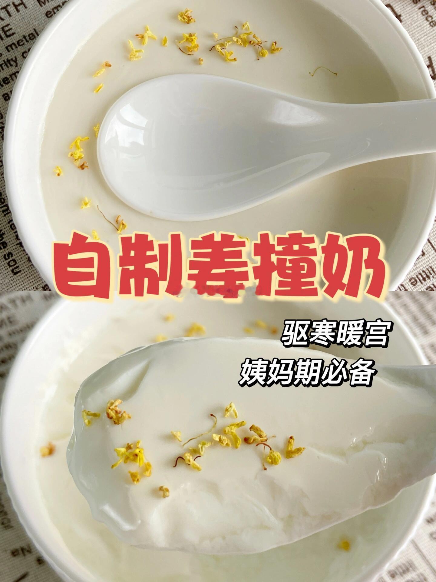 广东冷门糖水到底有多离谱㊙️自制姜撞奶！祛寒暖宫！姨妈期最爱甜品！天冷很适合吃一