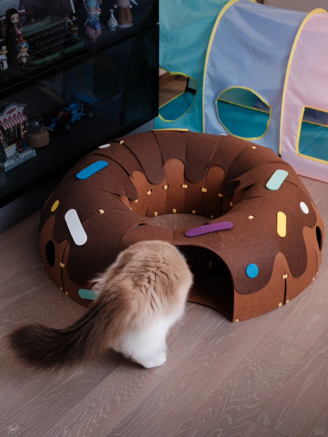 没有小猫咪能拒绝甜甜圈吧！