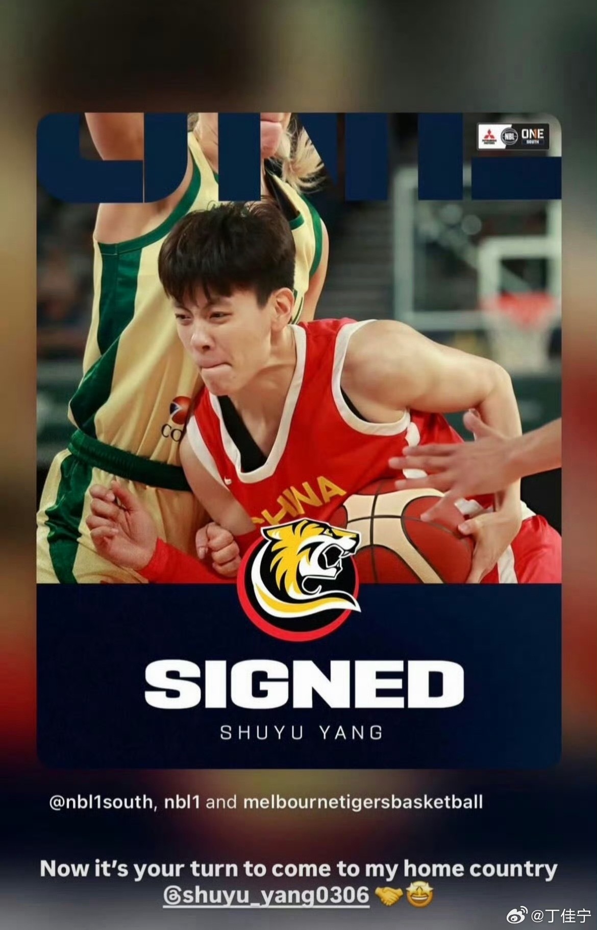 加盟墨尔本老虎队，将出战2026赛季NBL1南区赛事FIBA中国女篮杨舒予