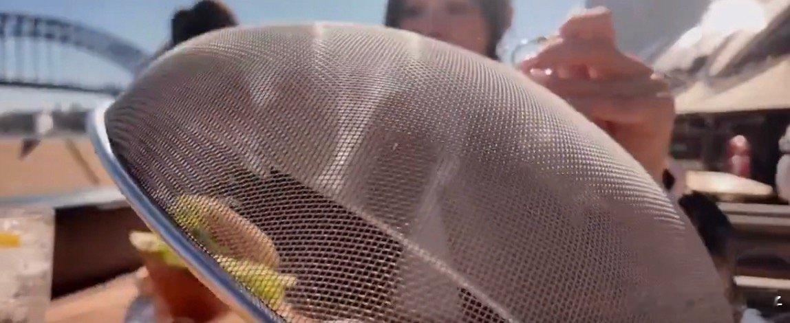 为什么澳洲沿海露天就餐需要防护罩还不抓紧吃，一会直接给你淋点灵魂酱汁在罩子上
