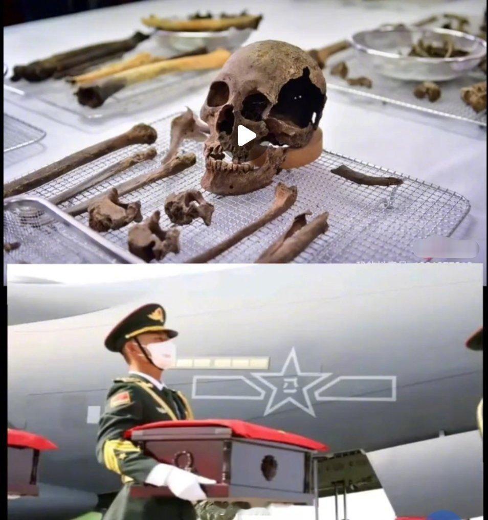 ``-- 这是中国人民志愿军一位烈士的遗骸，不识其面容，不知其姓名，却深感他的恩