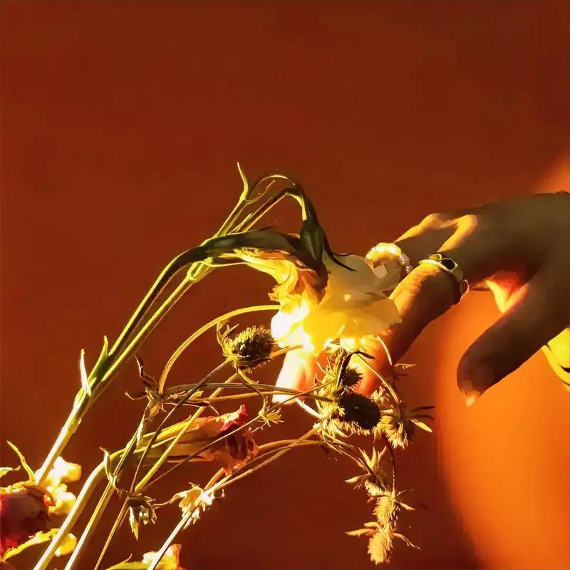 在现实生活里，利益就像一面照妖镜，轻易就能让真心原形毕露。很多看似亲密的关系，一