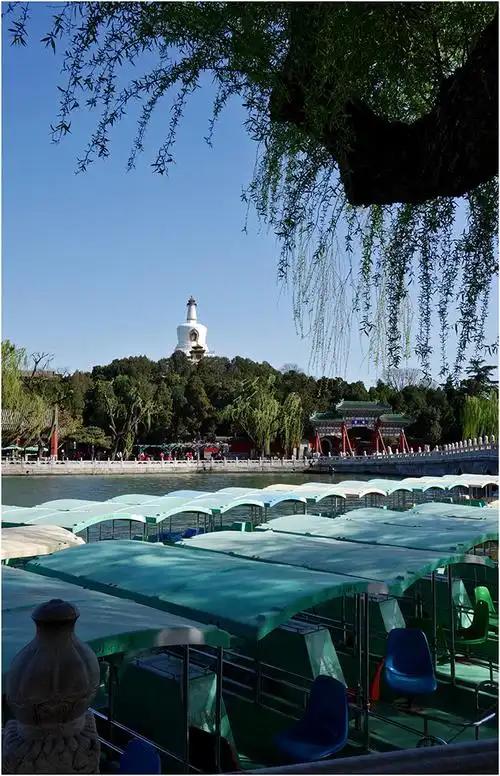 记录我的2026