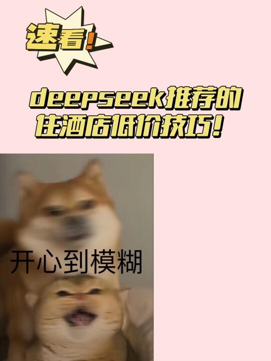 花小钱装大杯！04女大100+轻松拿下酒店！