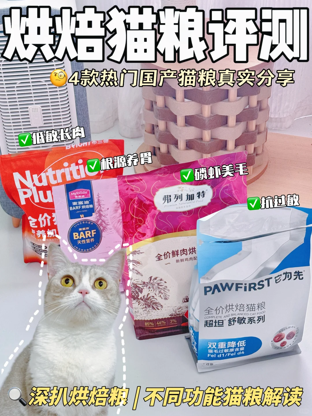 一篇读懂|不同功能的烘焙猫粮应如何选择？