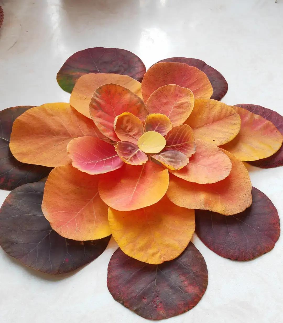 有一年，我婆婆去邻村弹棉花。弹了二十斤棉花。
 
回来那天人就憋着气，袋子鼓鼓的