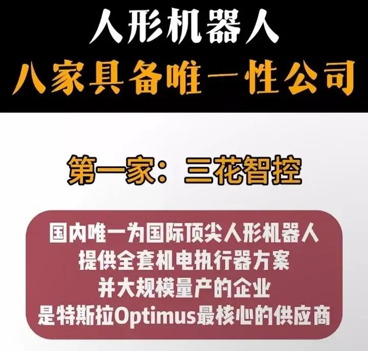 “人形机器人 八家具备唯一性公司”，分别介绍了在人形机器人领域各具独特技术优势和