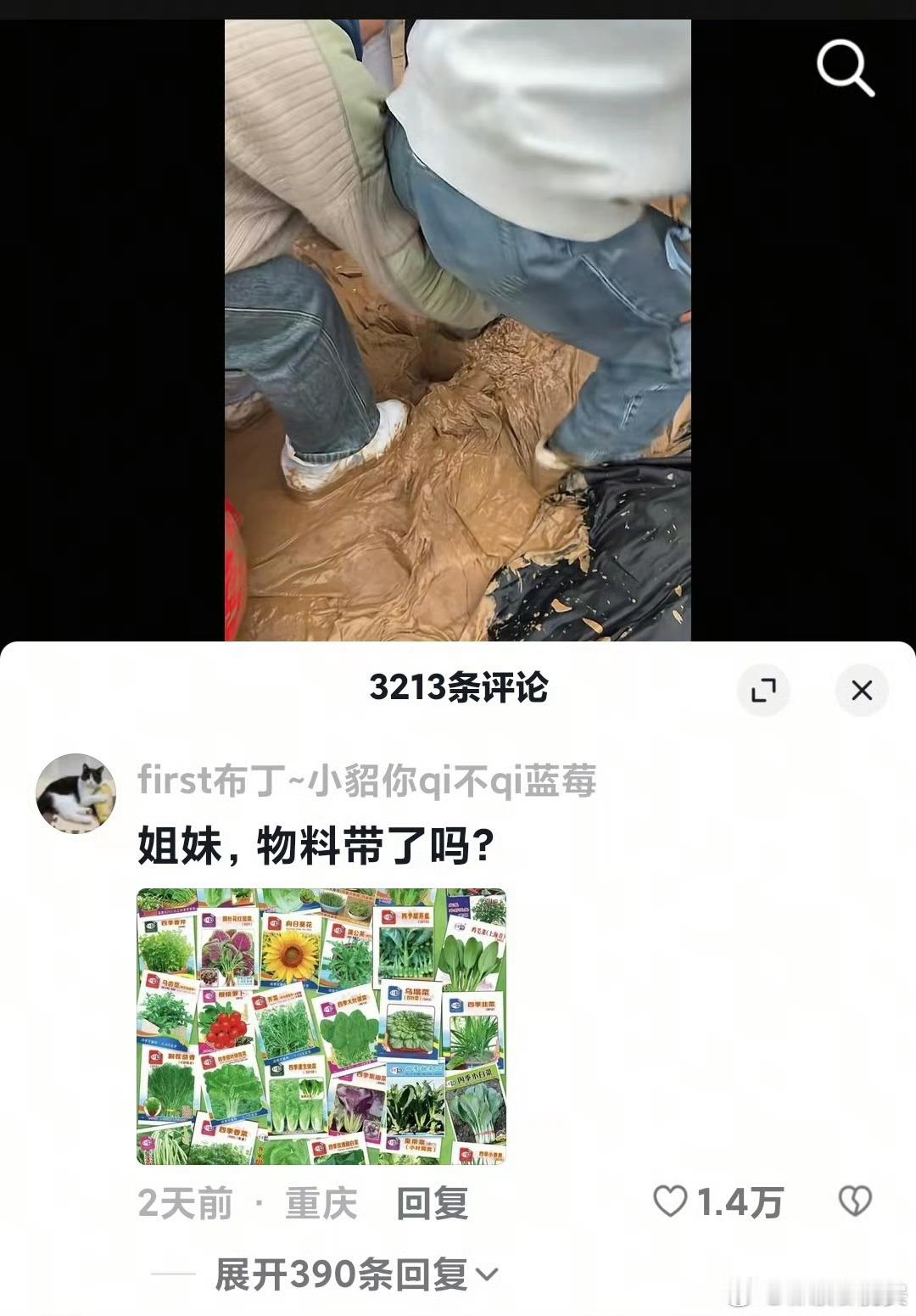 我终于知道任嘉伦为什么会说粉丝在泥里了，宝鸡音乐节这个场地真的可以插秧了[允悲]