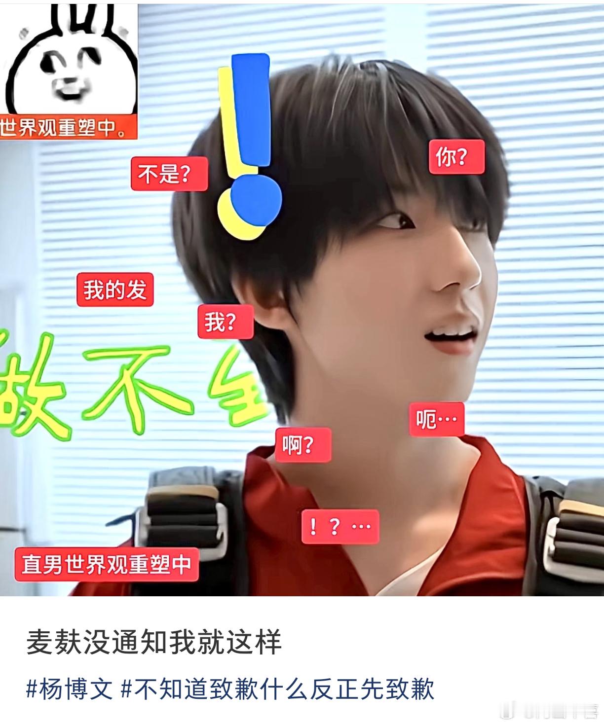 杨博文为什么不想卖奇文了？？？奇文批还不赶紧劝劝