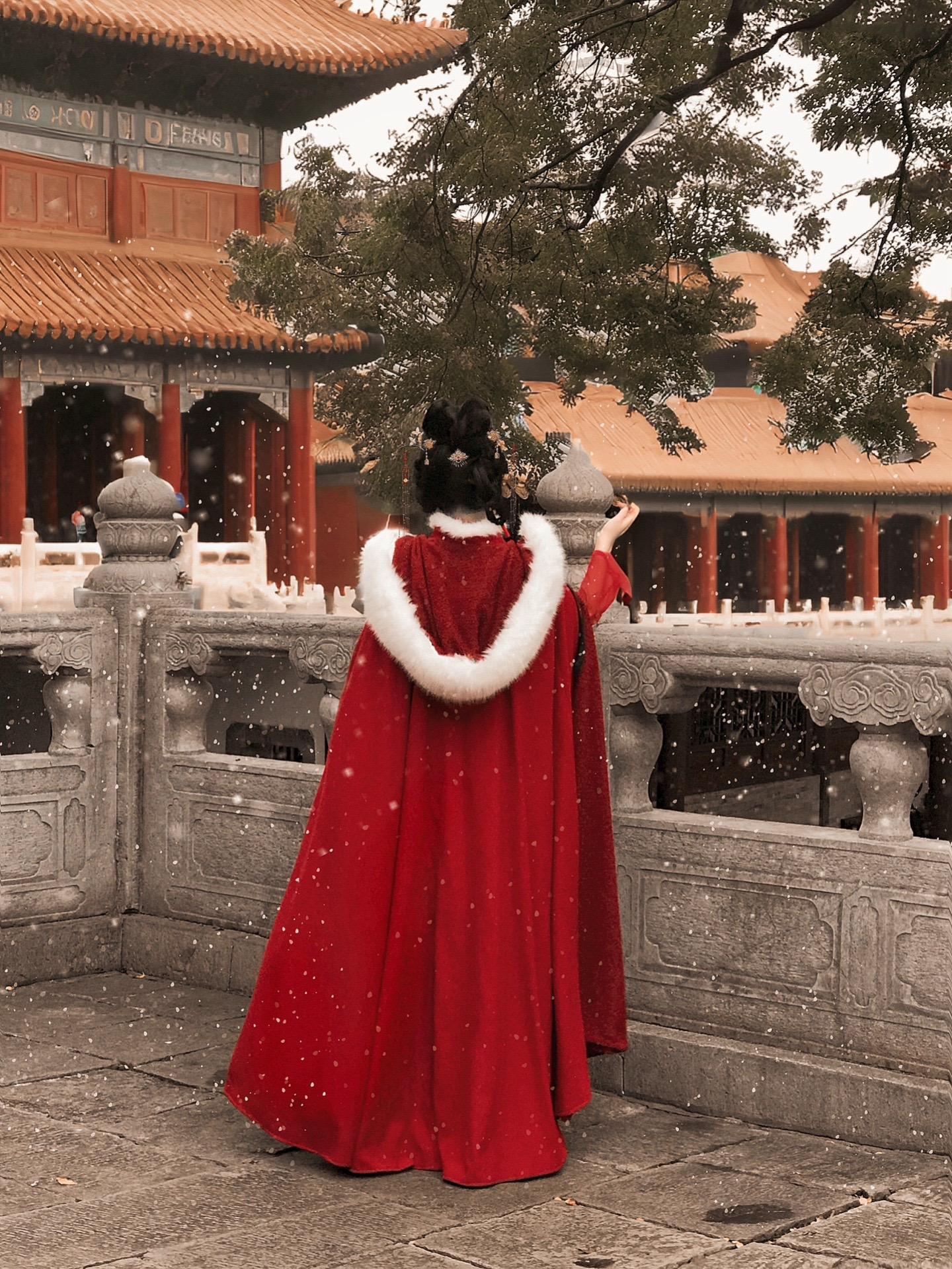 “我要让她做整个大宋最快乐的姑娘”让徽柔做最快乐的小公主！他食言了！