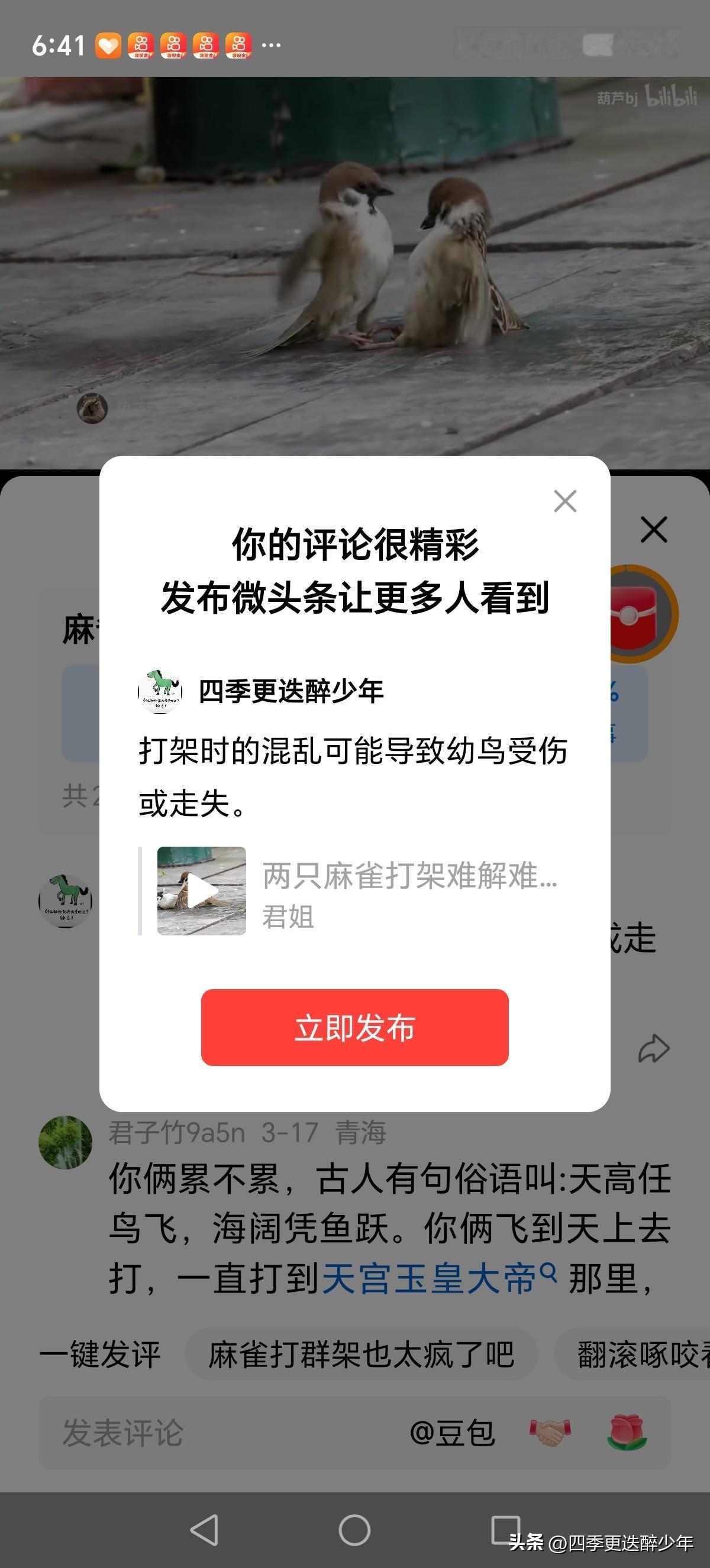 打架时的混乱可能导致幼鸟受伤或走失。
自由天地这么大，
两个麻雀都互掐。
你死我