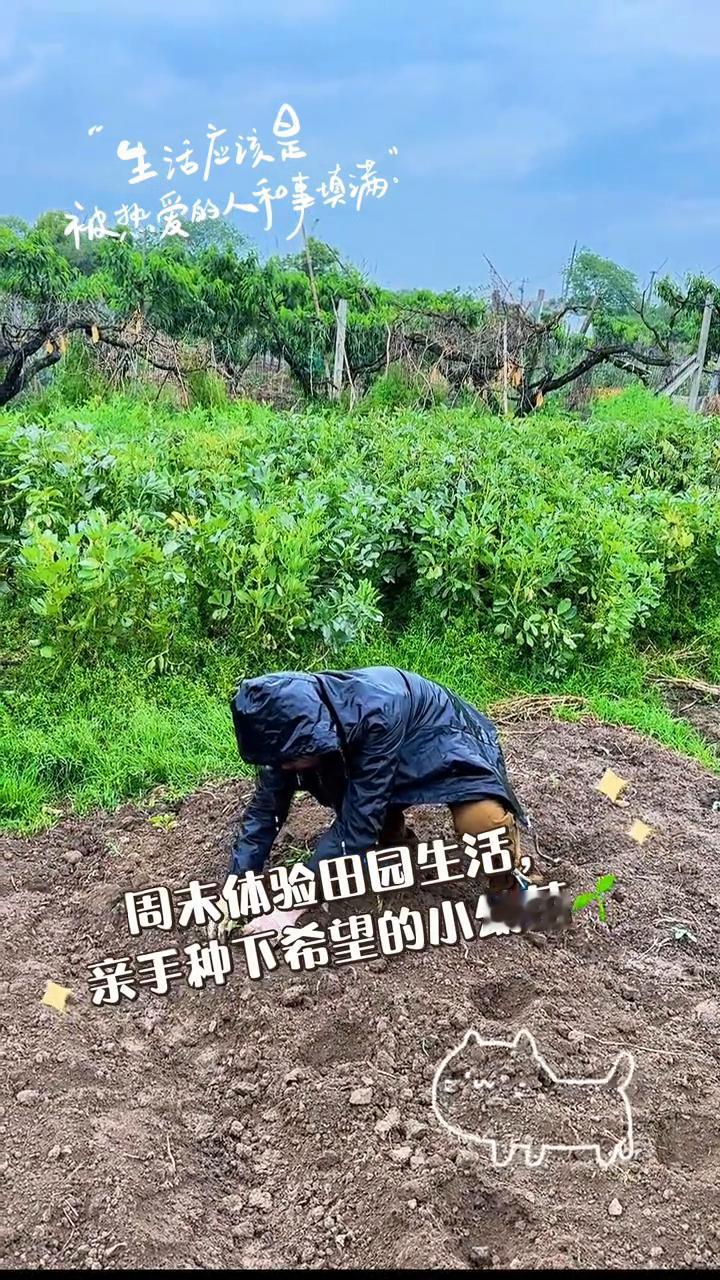 生活应该是被热爱的人干事填满，周末体验田园生活，亲手种下希望的小幼苗。