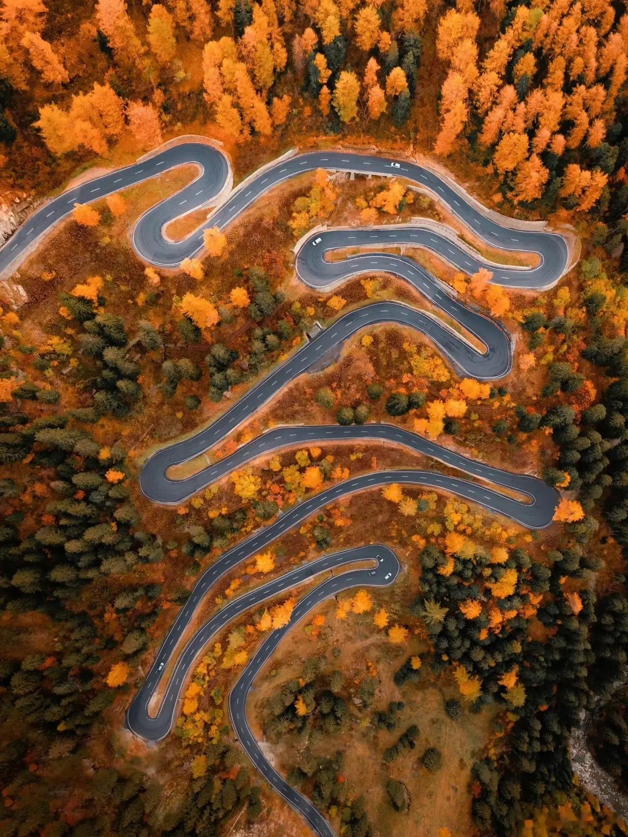 跨年妖王启动欲望榜！这11只标的谁能脱颖而出？跨年行情临近，谁能扛起“妖王”大旗