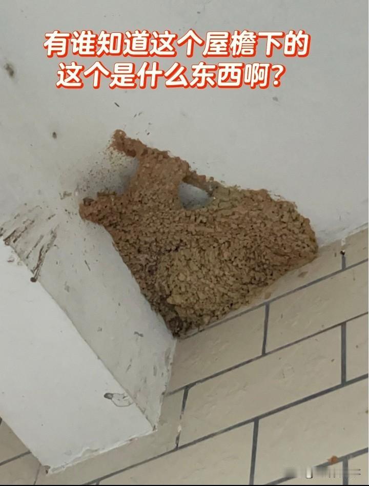 有谁知道屋檐下这个是什么东西？