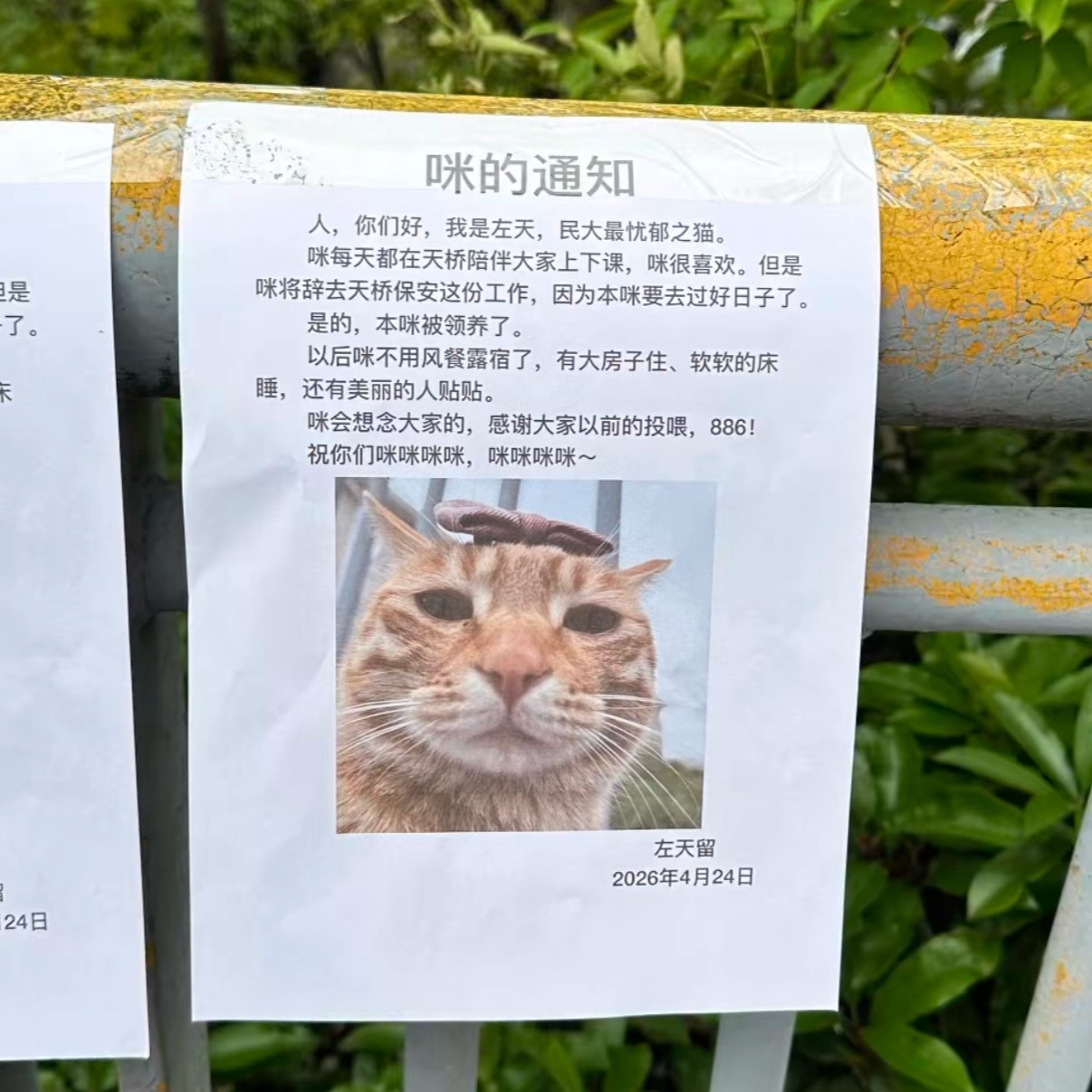 咪要去过好日子了