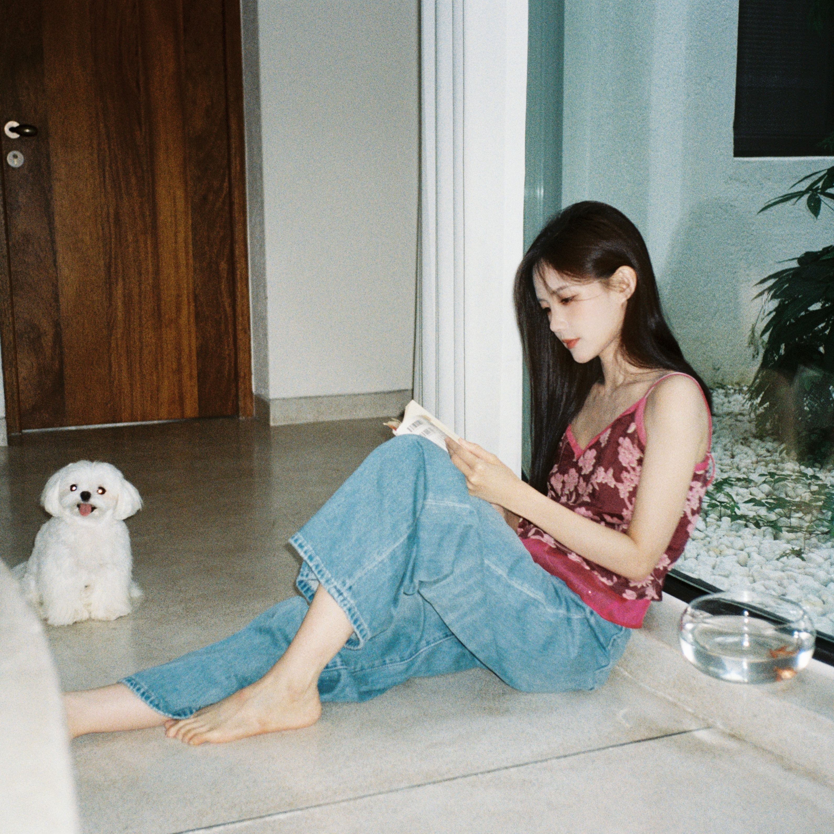 李一桐最新写真，好美的雪姐[好喜欢] ​​​