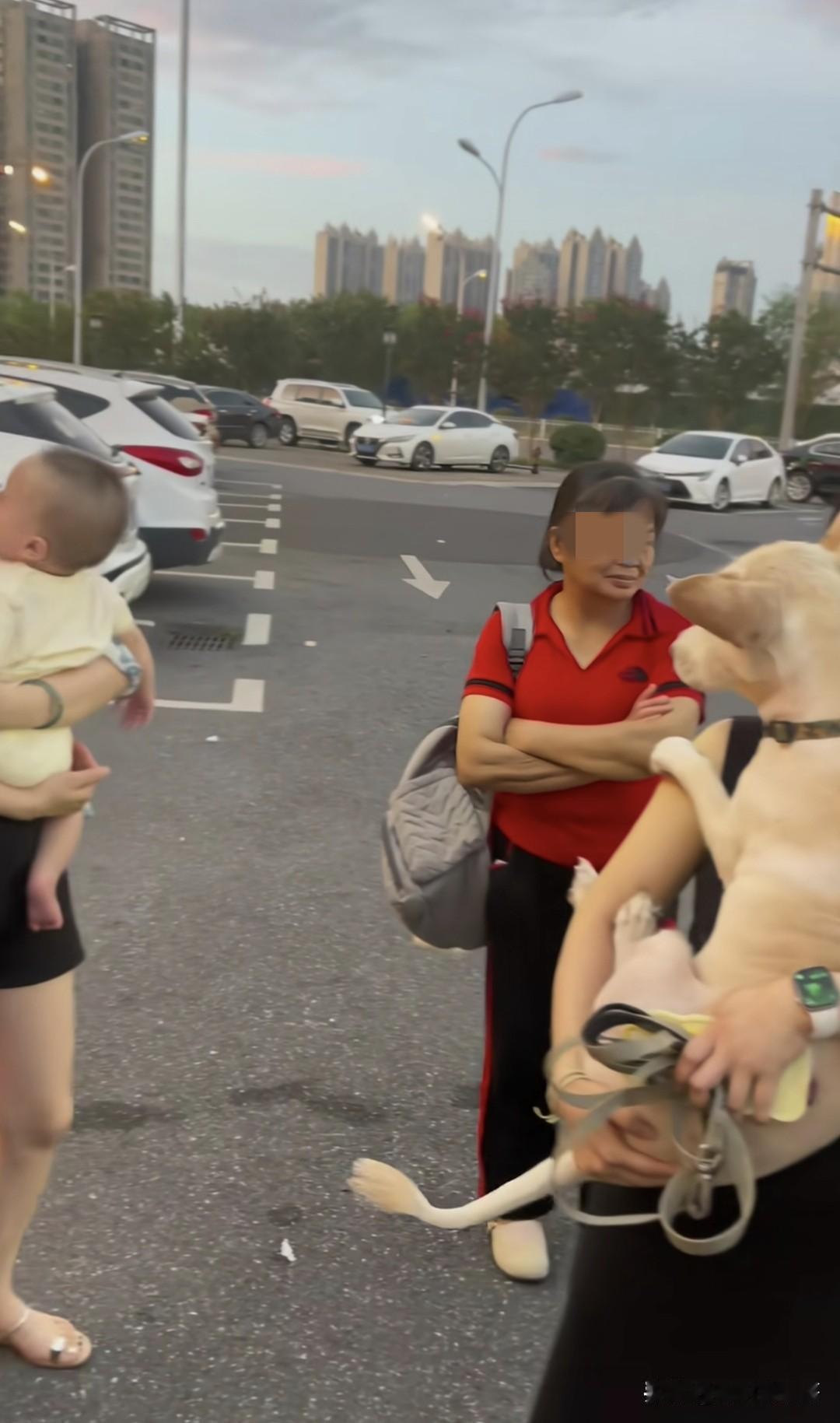 出来散步，都抱着各自的心肝宝贝