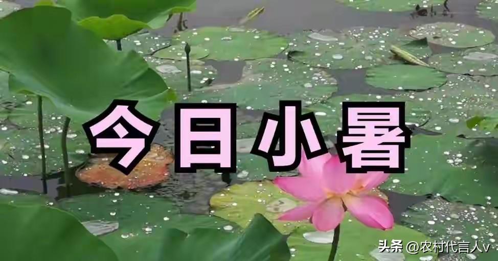 不是迷信，今日小暑是“闭日”，无论多忙，记得4事别犯忌讳！
 
今日小暑恰逢“闭