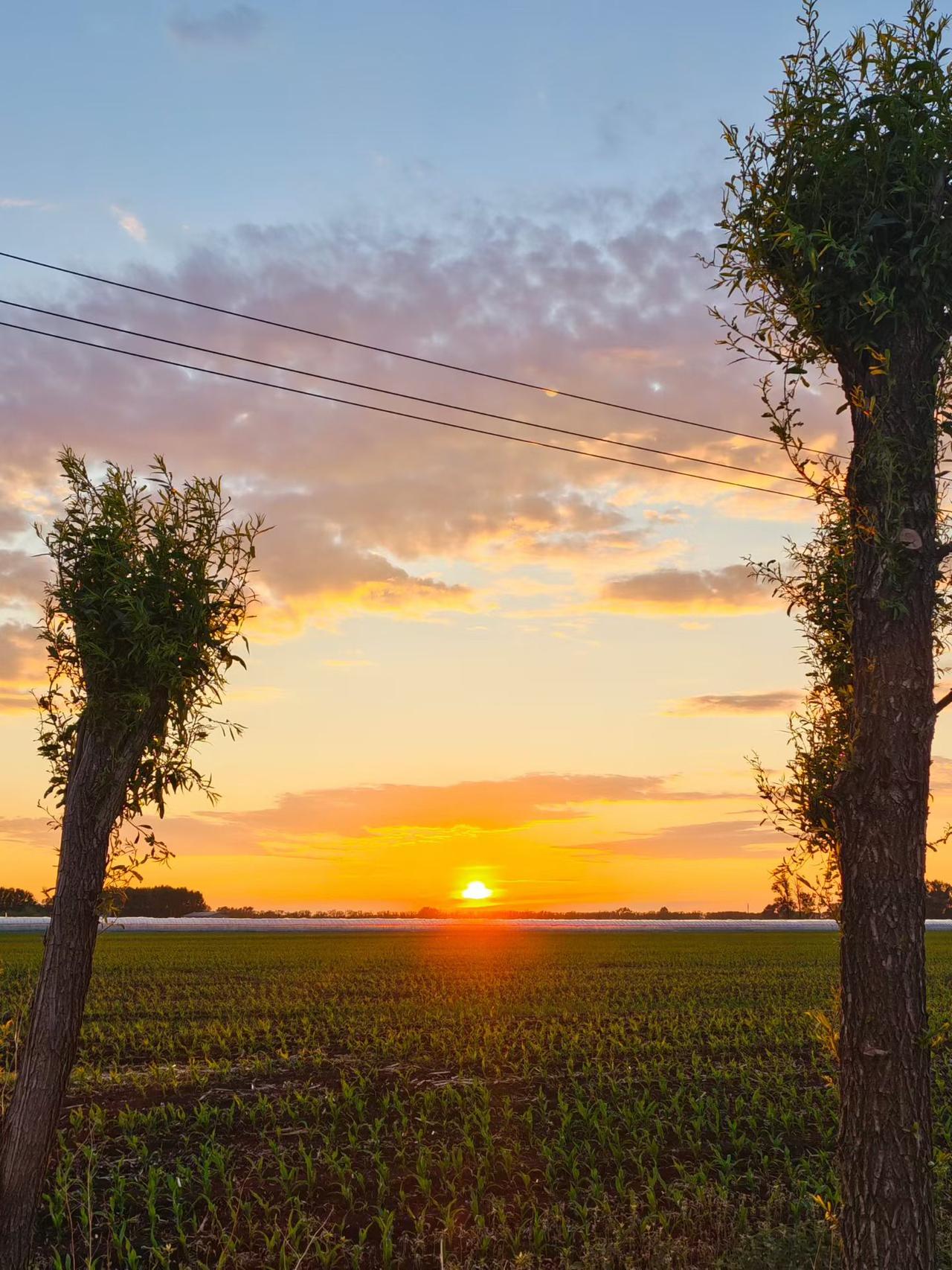 分享一下你随手拍下的照片夕阳西下，风景美如画。